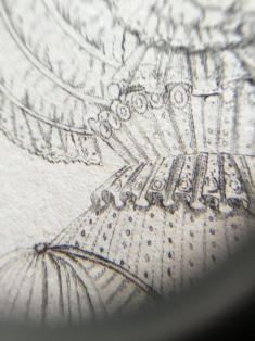 Detail of a 1812 steel engraving